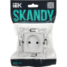 Розетка IEK SKANDY SK-R02W без заземления без защитных шторок 10А арктический белый SK-R10-10-K01